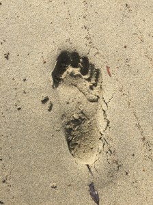 photo-jan-15-12-44-13-pm