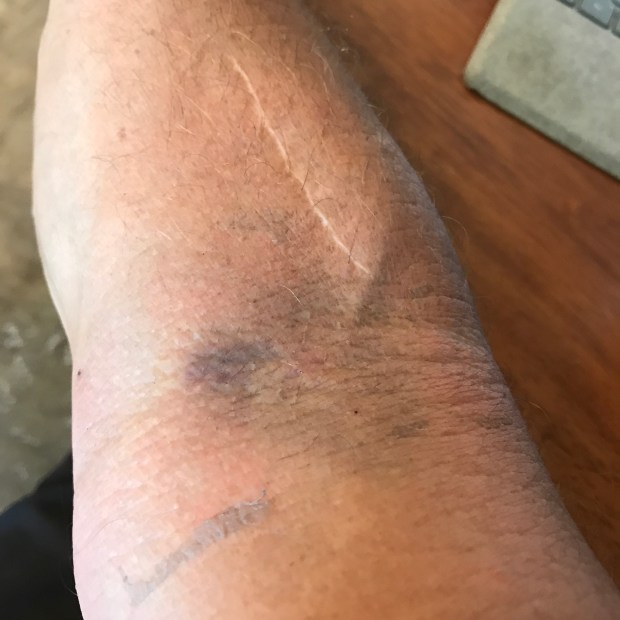 Photo Sep 01, 2 47 48 PM