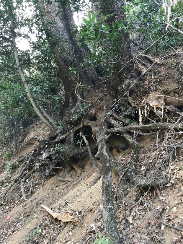 35B76FD9-E9C8-4BEB-8208-BA1FF6CDEF7B