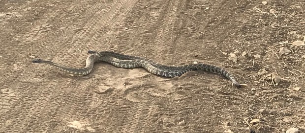 E191A005-8040-400B-82F8-3416FF578BE8