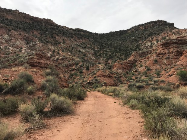 10_The Dreaded Climb